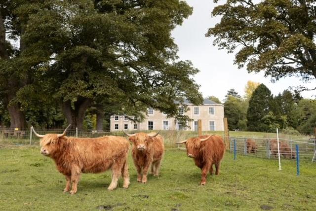 Manar House Villa Inverurie Eksteriør billede